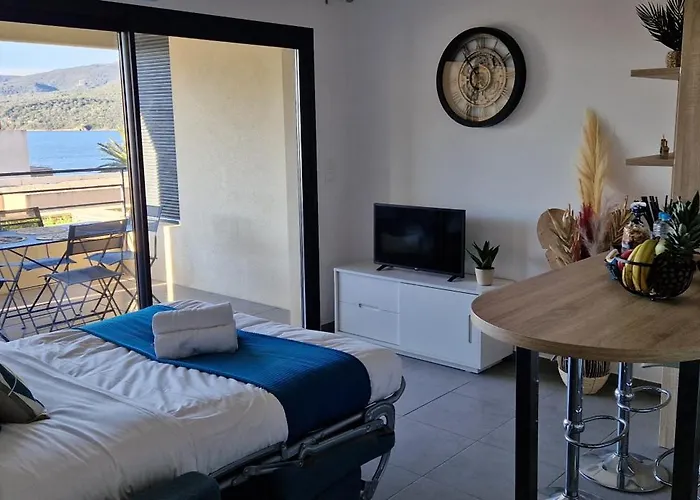 Apartment T2 Fronte Di Mare De Standing En Bord De Et Du Centre Du Village De Propriano (Corsica)